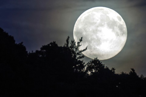 Vollmondwanderung - Bad Bevensen - 23.11.2026 19:00