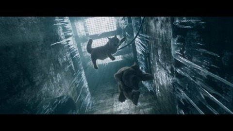 Miau und Wau - Lörrach - 30.10.2025 16:10 Miau und Wau - Lörrach - 30.10.2025 16:10