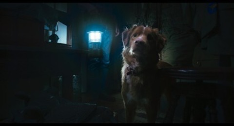 Good Boy - Trust his Instincts - Freiburg - 30.10.2025 23:10 Good Boy - Trust his Instincts - Freiburg - 30.10.2025 23:10