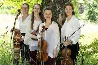 Am Freitag, 31. Oktober, und Samstag, 1. November, gibt das Faust Quartett anlsslich des Schubert Festivals Konzerte im Kur- und Feststpielhaus Badenweiler.