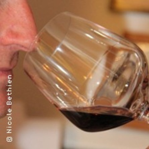 Weinseminar "Spielerisch Wein Entdecken" - HAMBURG - 18.01.2026 18:00