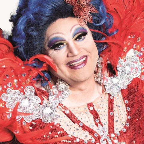 Die Regenbogenhummel: Gnseblmchen - Karlsruhe - 12.04.2026 18:30