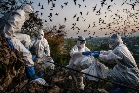 BLAME - Braunschweig - 14.11.2025 18:15