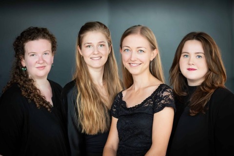 Rheinsberg sucht die Hofkapelle - Das Auswahlkonzert 2026/27 - Rheinsberg - 31.01.2026 17:00