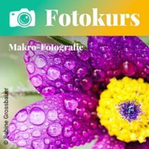 Fotokurs Makrofotografie - BERLIN - 04.04.2026 11:00
