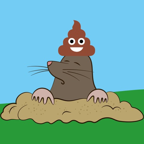 Vom kleinen Maulwurf, der wissen wollte, wer ihm auf den Kopf gemacht hat - Nach dem Bilderbuch von Werner Holzwarth und Wolf Erlbruch - Jagsthausen - 15.08.2026 10:30