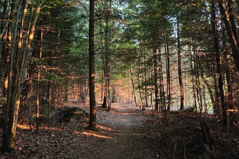 Omas Rundweg - Ohlsbach