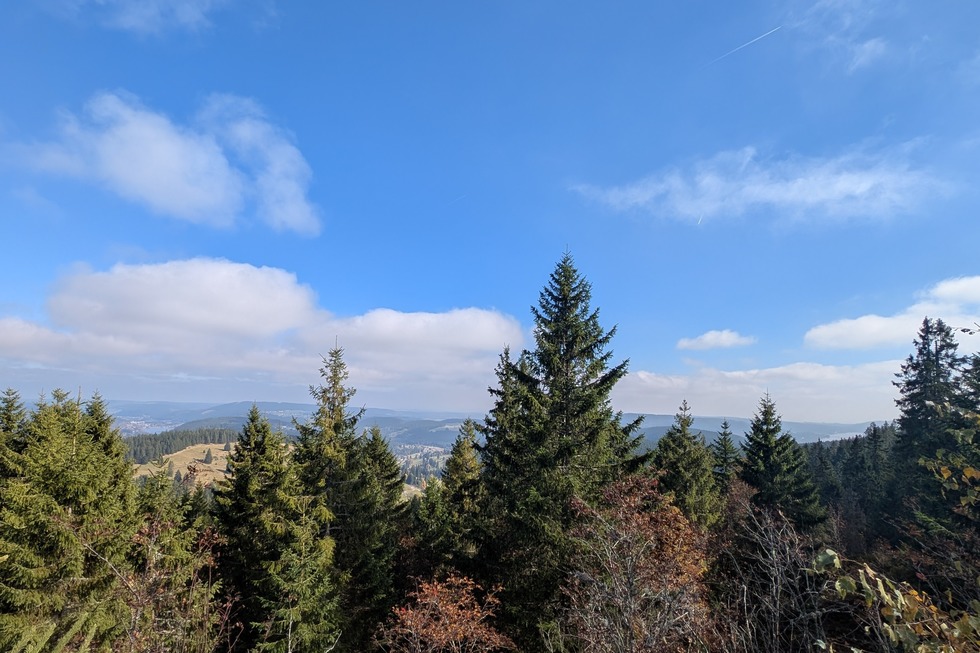 Zweiseenblick - Feldberg