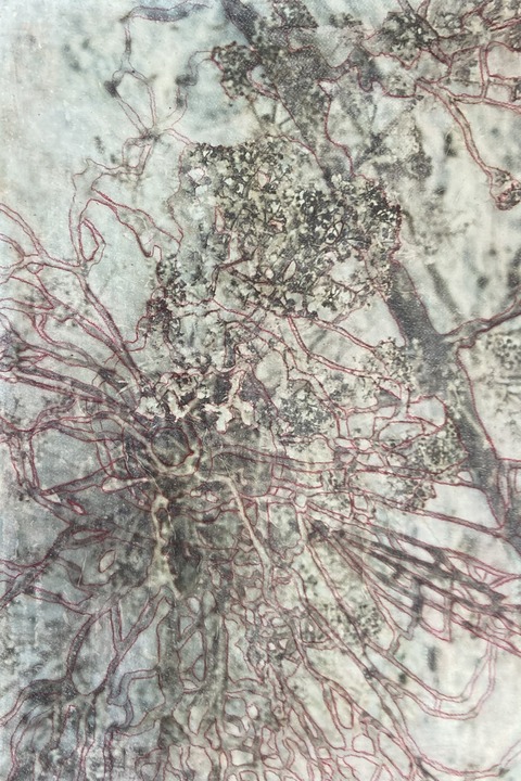 Gerhard Ohnemus & Vera Krakovic - Schutterwald - 07.11.2025 19:00