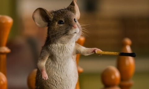 Mission: Musejagd - Chaos unterm Weihnachtsbaum - Freiburg - 06.11.2025 14:45