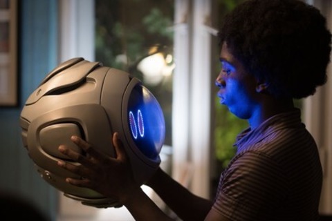 Momo - Lenzkirch - 09.11.2025 15:30