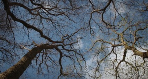 Das Ungesagte - Emmendingen - 18.11.2025 19:00