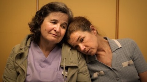 Dann passiert das Leben - Freiburg - 06.11.2025 17:30