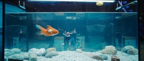 Der Mann, der immer kleiner wurde - Die unglaubliche Geschichte des Mr. C - Villingen-Schwenningen - 08.11.2025 17:30