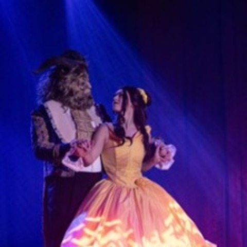 Magical Moments - Das Musical Dinner - Nettetal - 27.11.2026 19:30