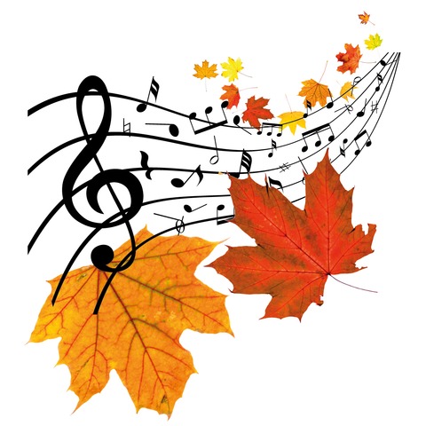 Novembergesicht - 2 Takte im Taunus - Taunusstein - 01.02.2026 16:00