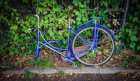 Lese-Jam Antifeminismus - Freiburg - 10.11.2025 19:00