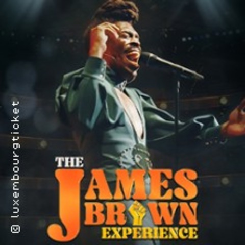 The James Brown Experience 2026 | Volkshaus - Zrich - 12.01.2026 19:30