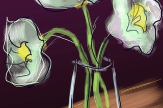 Das Haus Zauberflte in Offenburg ldt zur Vernissage &#8222;Yvonnes Blumen&#8220; mit dem Knstler Martin Sander ein