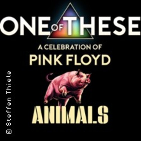 One Of These &#8211; A celebration of Pink Floyd / Animals Tour - Neukirchen-Vluyn - 25.04.2026 20:00