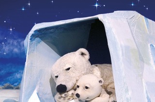 marotte Theater - Der kleine Eisb�r