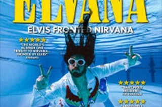 ELVANA - IN EURO 2026