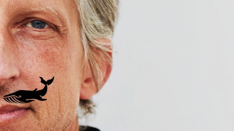 WILLIAM WAHL - wahlweise - Mannheim - 24.01.2026 20:00