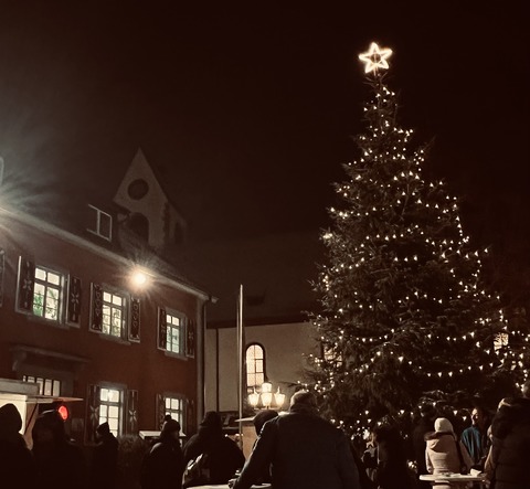 Museum am Lindenplatz - Weil am Rhein - 28.11.2025 17:00