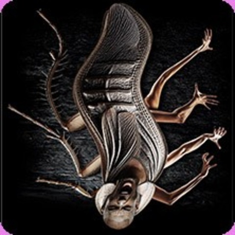 Metamorphose - HOF - 29.05.2026 19:30
