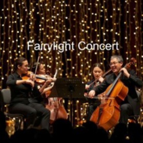 Fairylight Concert: Harry Potter - The Music Live - Augsburg - 09.01.2026 18:00