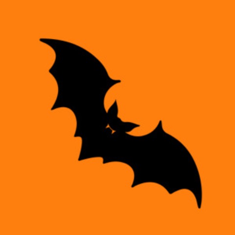 Im Schatten der D�mmerung - Die Gostner-Soap - Staffel 5, Folge 5 - N�rnberg - 24.02.2026 20:00