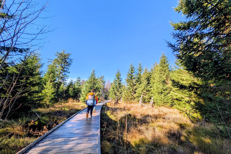 Spechtpfad - Baiersbronn