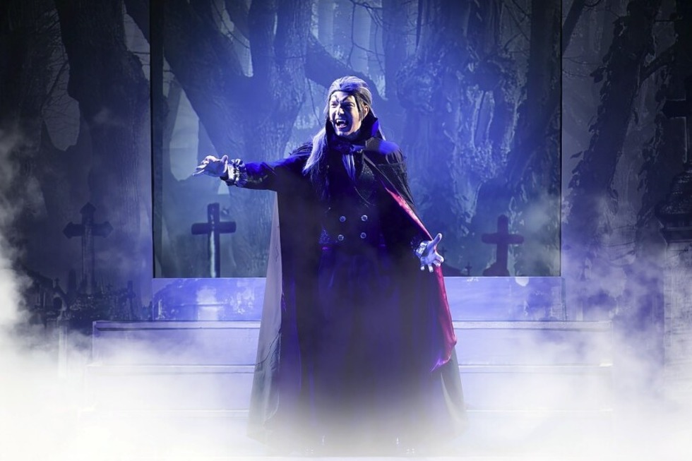 Beim Musical Karussell im Gloria Theater erwartet die Besucherinnen und Besucher ein vielfltiges Musical Erlebnis - Badische Zeitung TICKET