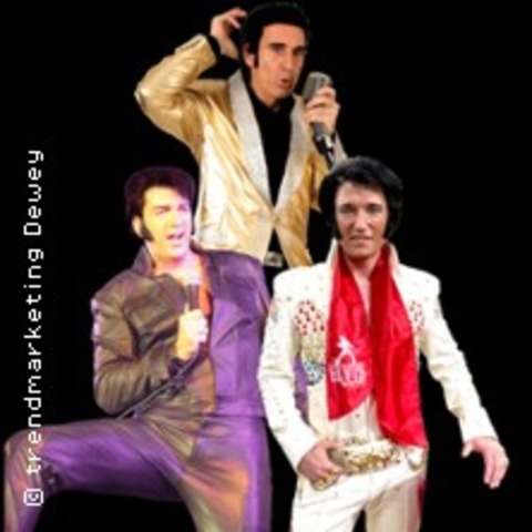 3x Elvis! Die groe Elvis-Zeitreise! - Shaky Everett, Oliver Steinhoff, Brian T - Witten - 20.11.2026 20:00