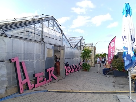 Sommer-Kabarett: 9m� - 800 kalt - Dresden - 02.08.2026 18:00