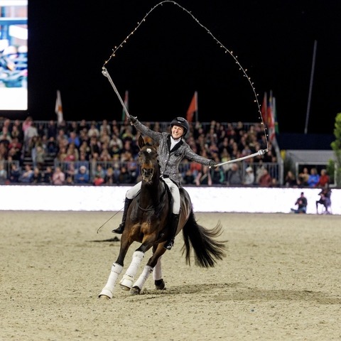 Jubilumsshow - Neumnster - 11.02.2026 19:30