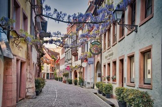 �ffentliche Stadtf�hrung Freiburg - Stadtf�hrung Freiburg 2026