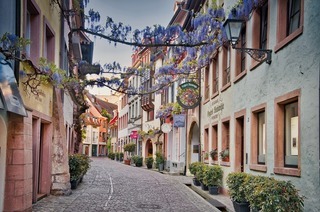 �ffentliche Stadtf�hrung Freiburg - Stadtf�hrung Freiburg 2026