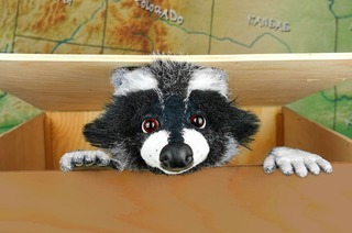 Rocky Waschb�r - Der Apfelkuchendieb (ab 4 Jahren)