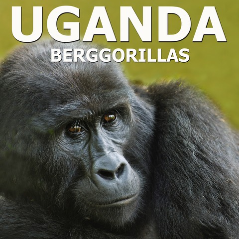 Uganda - Perle Afrikas - Heimat der Berggorillas - Live Reportage - Weinsberg - 18.01.2026 17:00