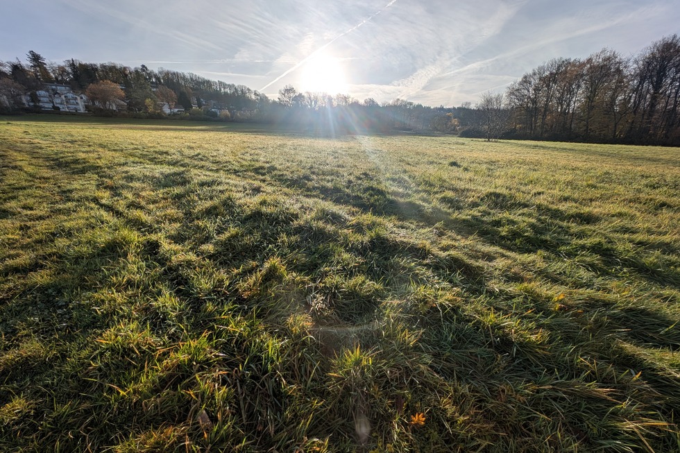 Schlierbergwiese - Freiburg