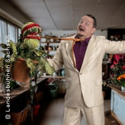 Der kleine Horrorladen - KURORT RATHEN - 18.06.2026 19:00