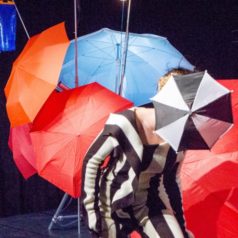 Zebraling und Knirpsmaschine - Braunschweig - 07.02.2026 16:00