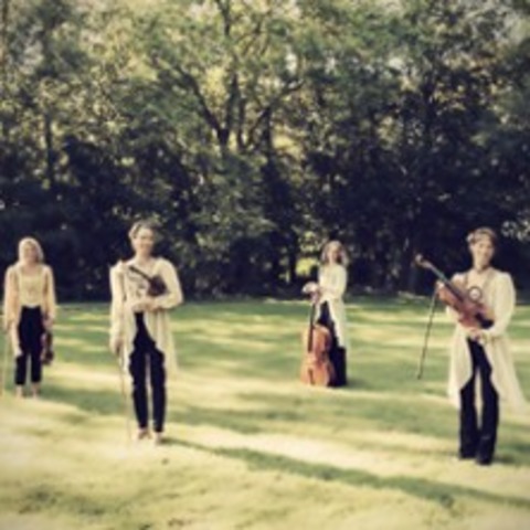 Ladystrings - Mozart Amad� – Eine kleine Mozart-Revue - Finsterwalde - 20.09.2026 19:00