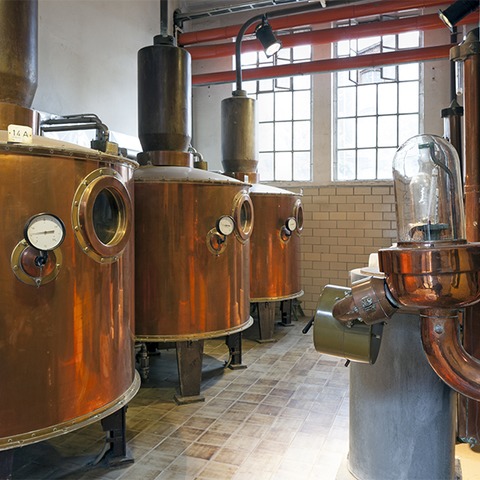 Uerdingen mit historischer Brennerei - Tageskreuzfahrten 2026 - Entdecken - M�lheim an der Ruhr - 30.08.2026 09:00