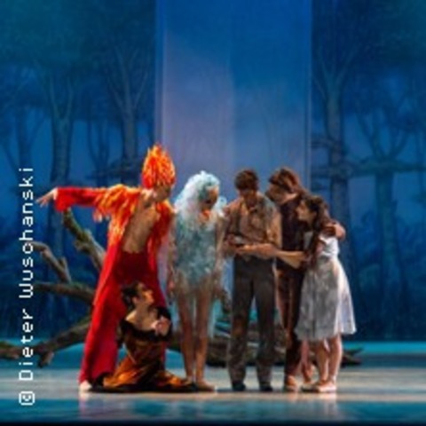 Der blaue Vogel oder Die Suche nach dem Glck - CHEMNITZ - 29.12.2025 19:30