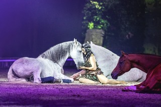 VIP - Mittwochabend - &#8222;Der groe Festhallen Show Abend&#8220; - ein Abend der verbindet