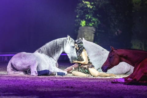 VIP - Mittwochabend - &#8222;Der groe Festhallen Show Abend&#8220; - ein Abend der verbindet - Frankfurt am Main - 17.12.2025 19:00