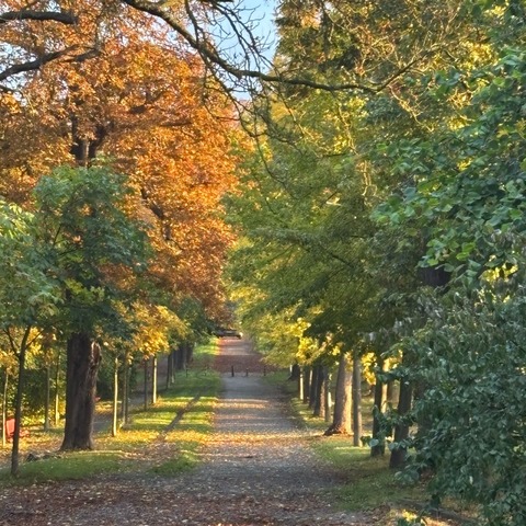 Nature Reset - Halberstadt - 10.10.2026 10:00