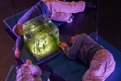 How To Breathe In Times Of Crisis? - K�ln - 18.01.2026 17:00